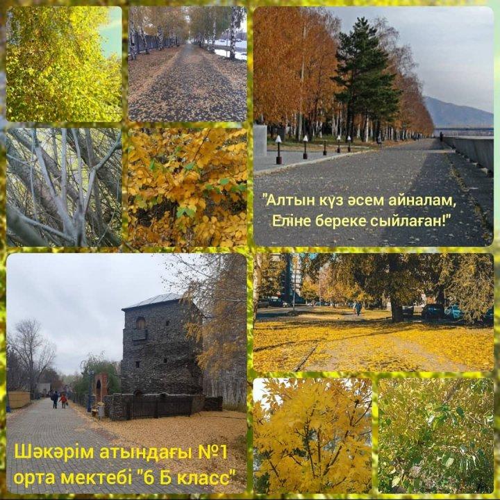 «Алтын күз, әсем айналам, еліне береке сыйлаған»